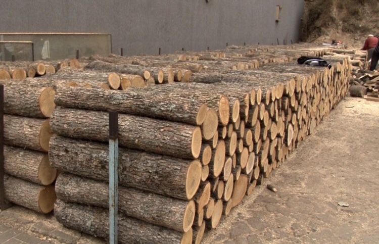 Rritet çmimi i druve të zjarrit në Korçë, familjet në vështirësi për përballimin e dimrit