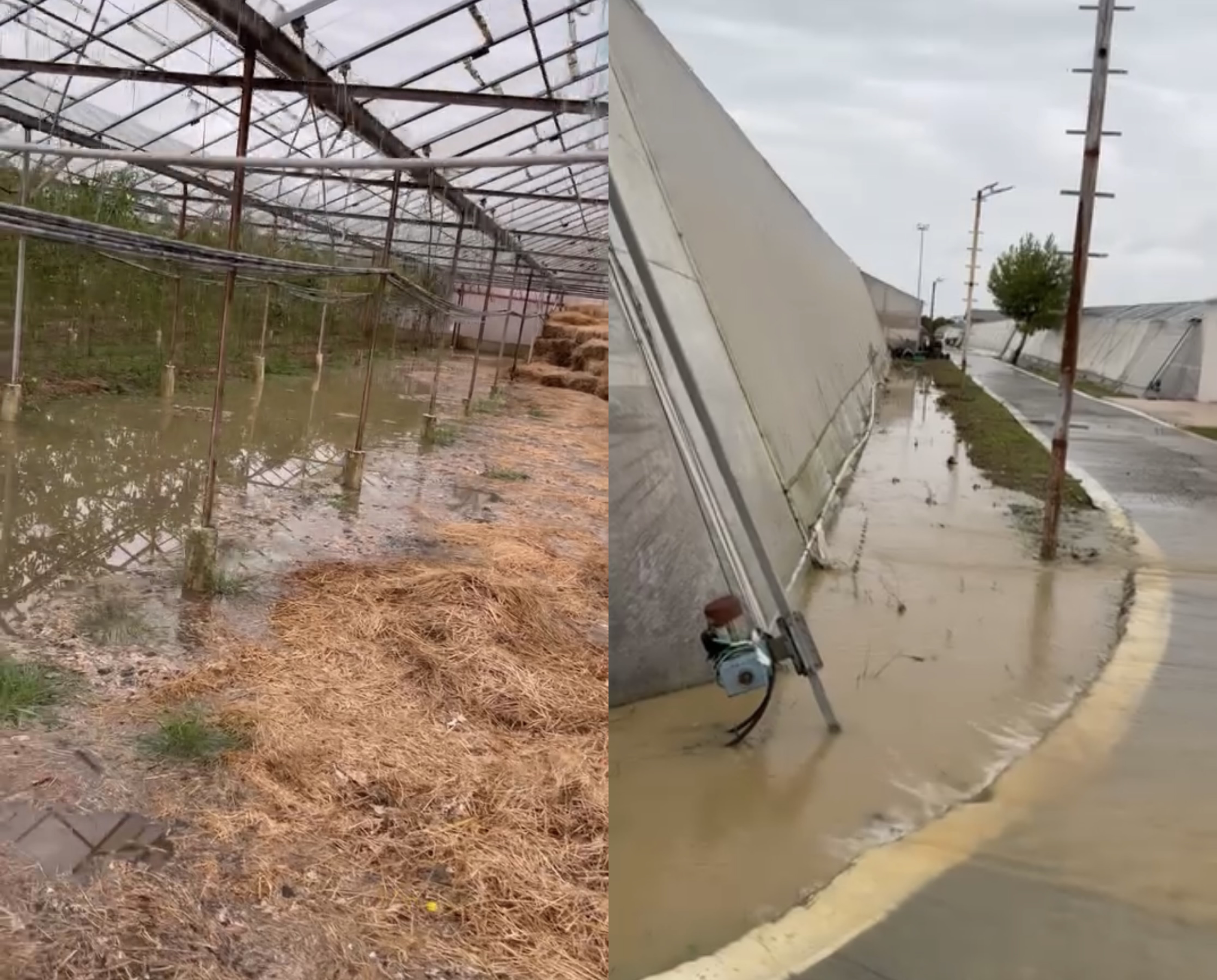 Reshjet e dendura nxjerrin jashtë funksionit hidrovorin në Hamallaj  dëme të mëdha në sera