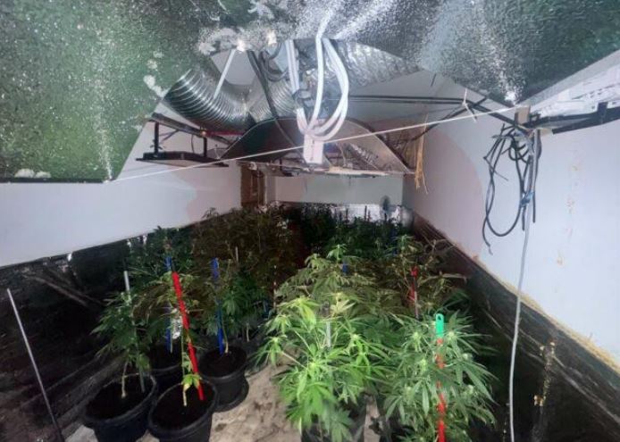 Ngrihet aktakuzë ndaj dilerëve në Prizren, krijuan një laborator droge