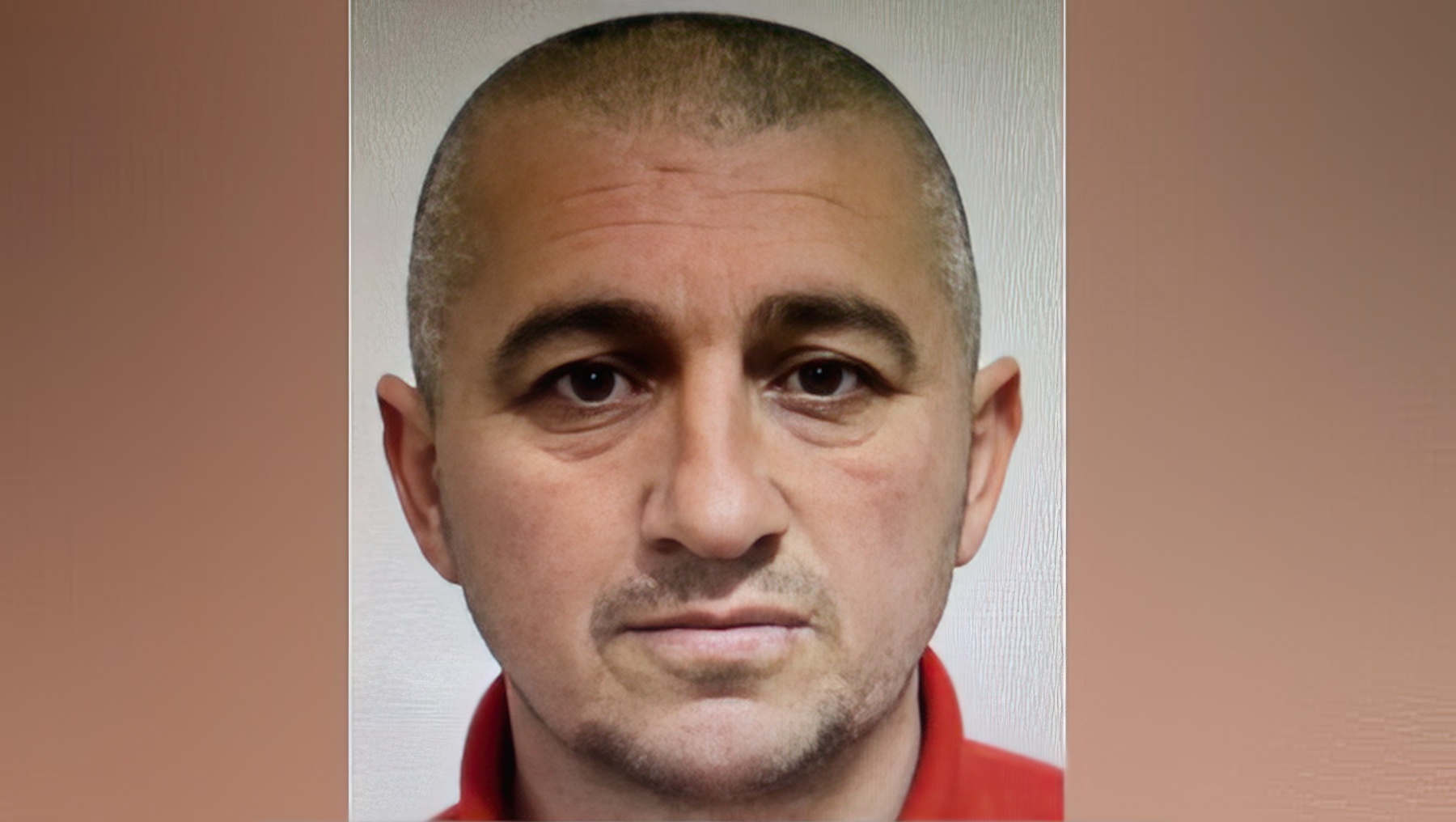 Dibrani nuk i ndahet Londrës dhe drogës  kapet në një fermë kanabisi