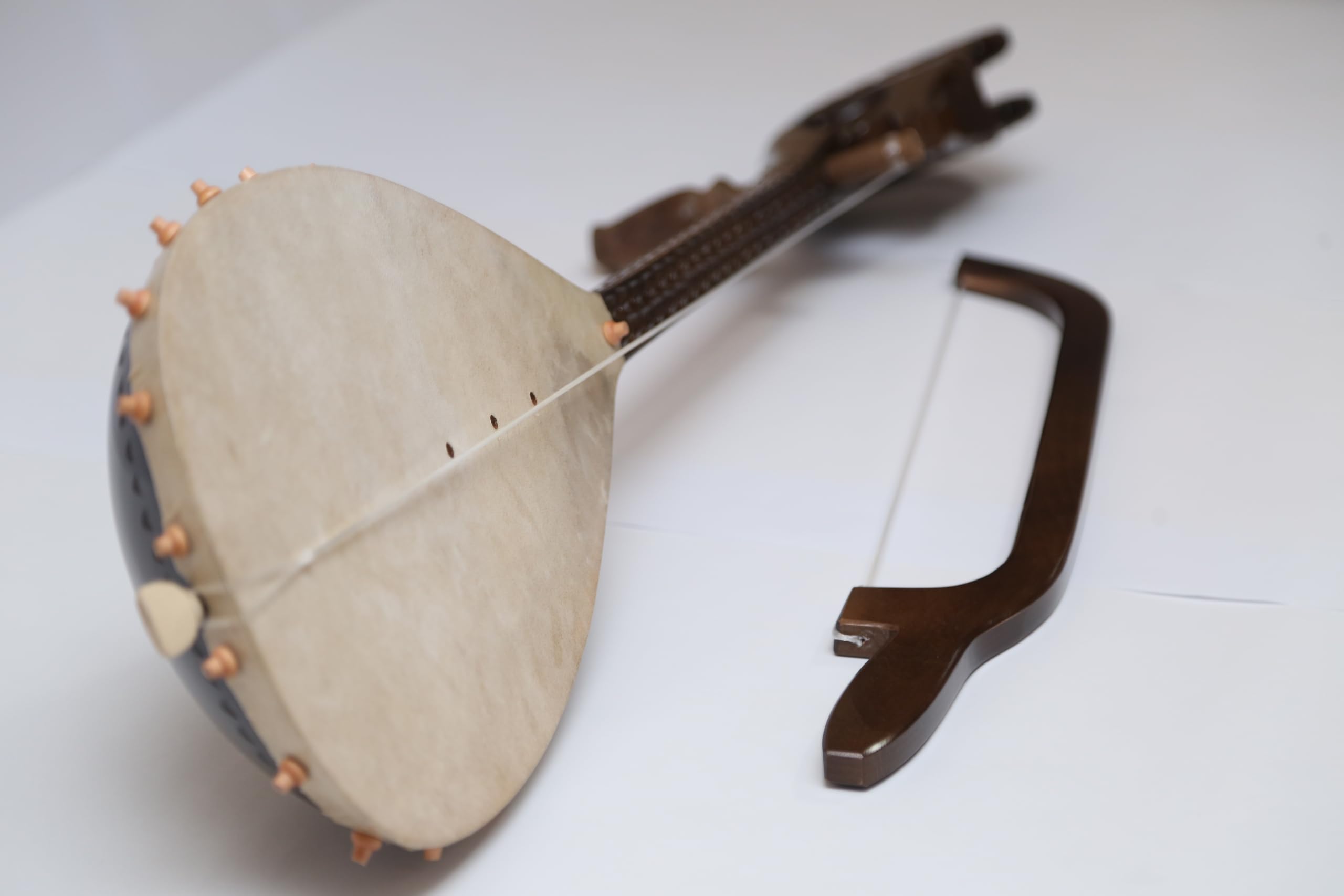 Lahuta shqiptare zyrtarisht pjesë e UNESCO s