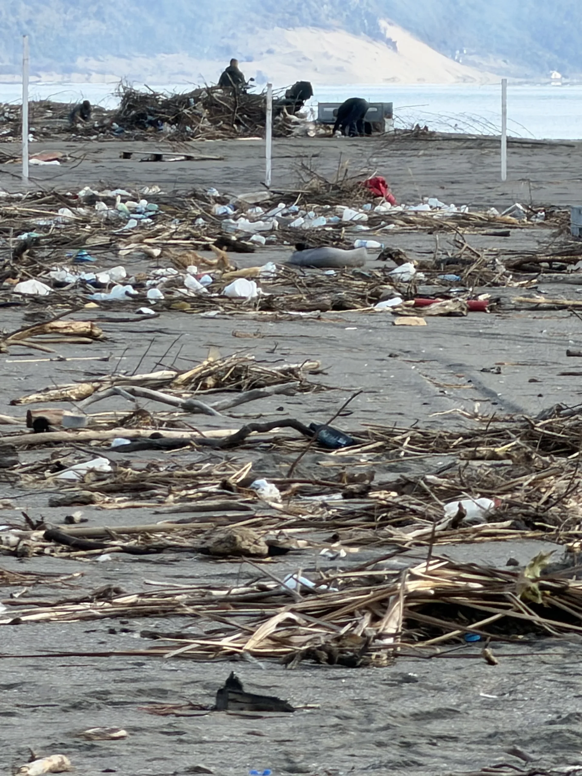 Shqipëria në alarm mjedisor  Mbetjet pushtojnë vijën bregdetare
