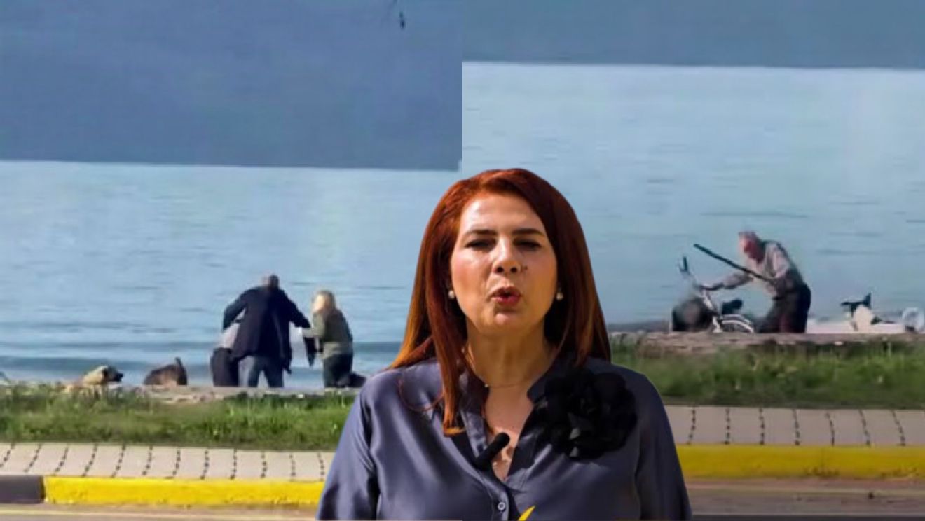 Brunilda Mersini lë qytetarët të pasigurt nga qentë endacakë  asnjë plan human për trajtimin e tyre 