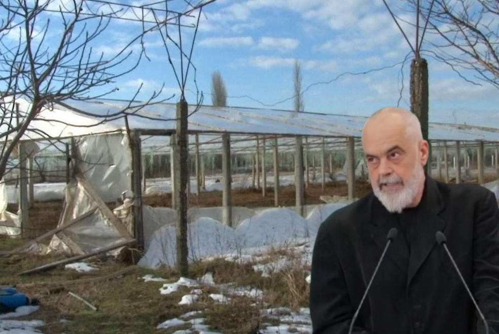 Bujqësia në krizë  Rama flet për sukses dhe eksporte rekord