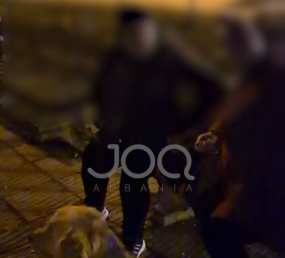 “Lanë fëmijën t’i vinte flakën pemës në park, më thanë shiko punët e tua pasi e fika”