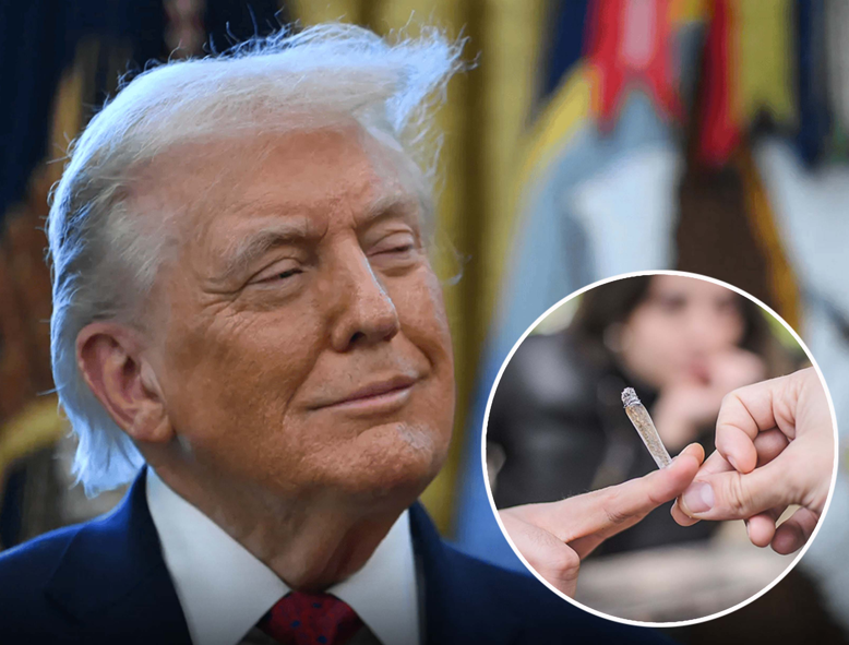 Trump po shqyrton riklasifikimin e marihuanës si drogë më pak të rrezikshme