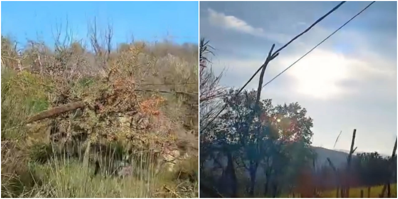 Shtylla elektrike e rrëzuar prej 4 ditësh  OSHEE e Fierit nuk merr masa