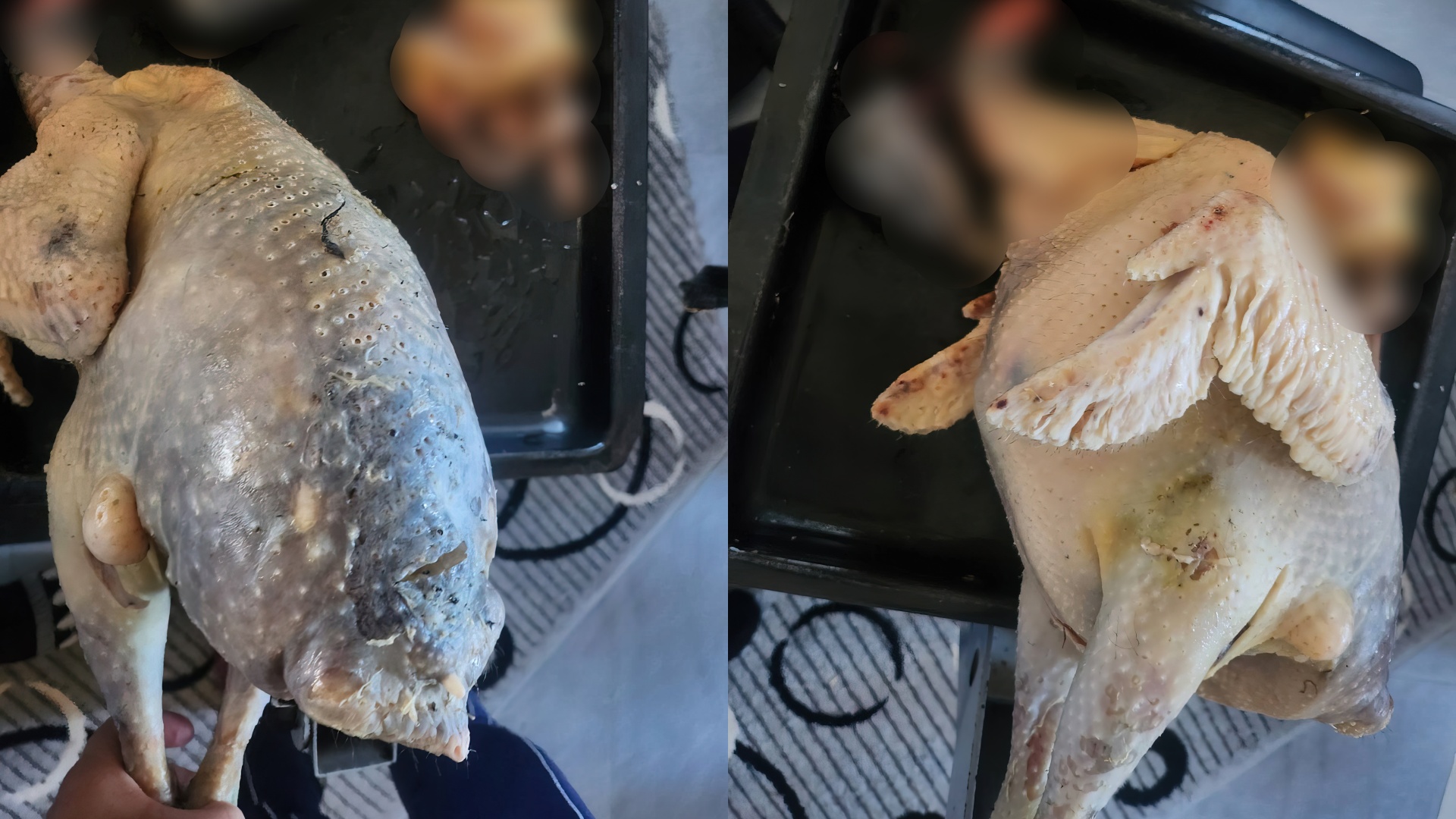  E bleva 46 mijë lekë  Gjeli i Detit më doli me mish të zi sterrë  