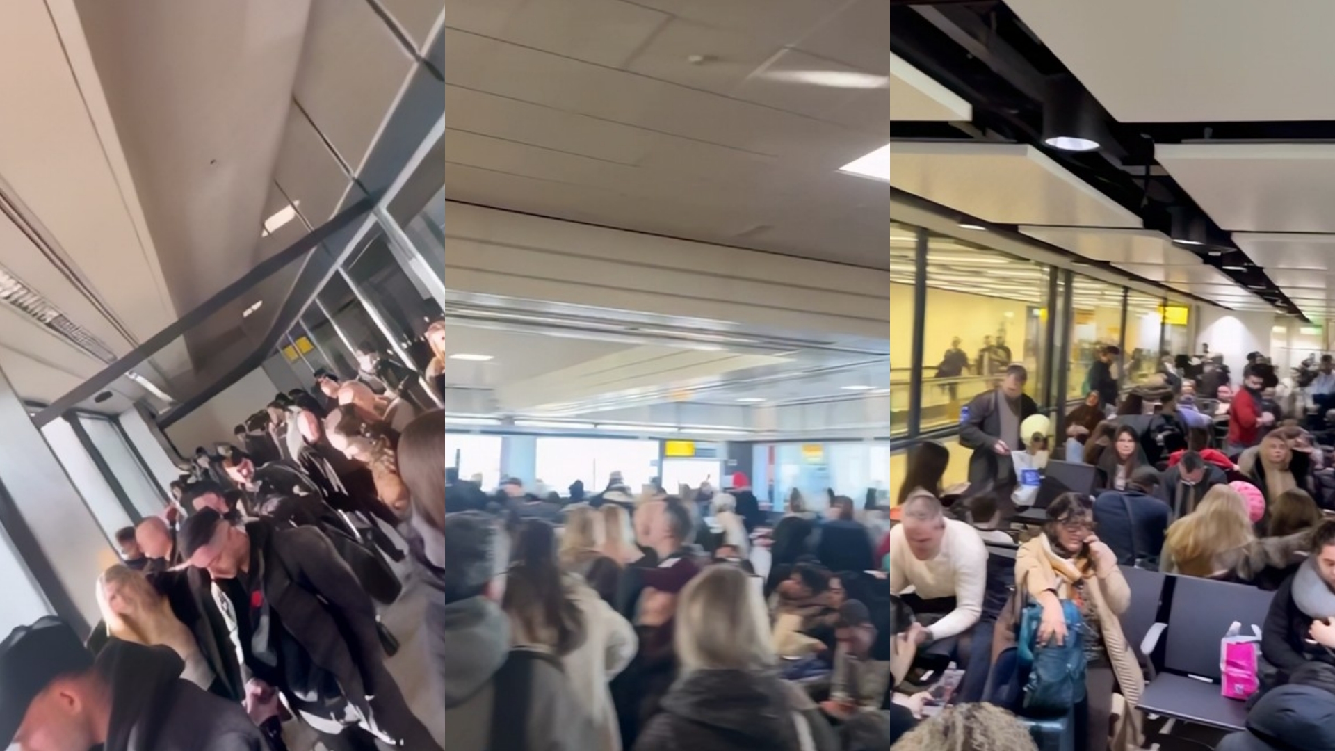  Wizz Air  le në mëshirë të fatit pasagjerët e linjës Londër Tiranë