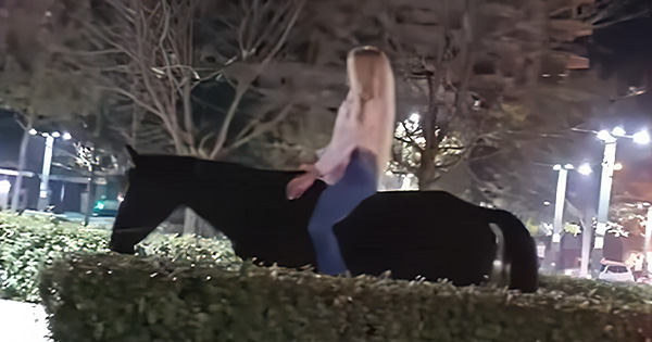 Bjondja ia hipën kalit të zi në mes të Vlorës