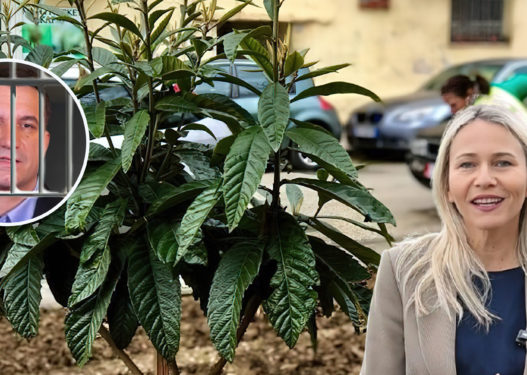 Ndonëse “Lali” është në burg, Bashkia Tiranë vjedh 113 milionë lekë me tenderin e vaditjes