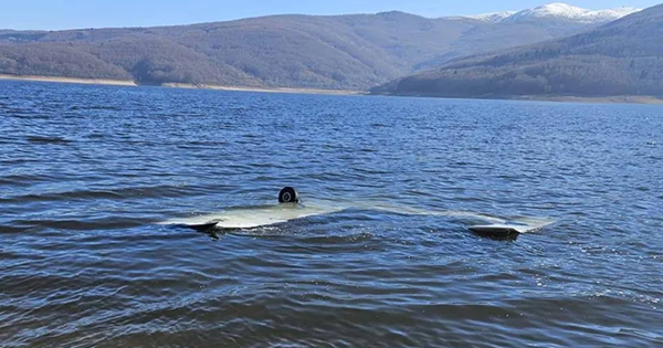 Bie avioni sportiv në Maqedoninë e Veriut  lëndohen dy shqiptarë