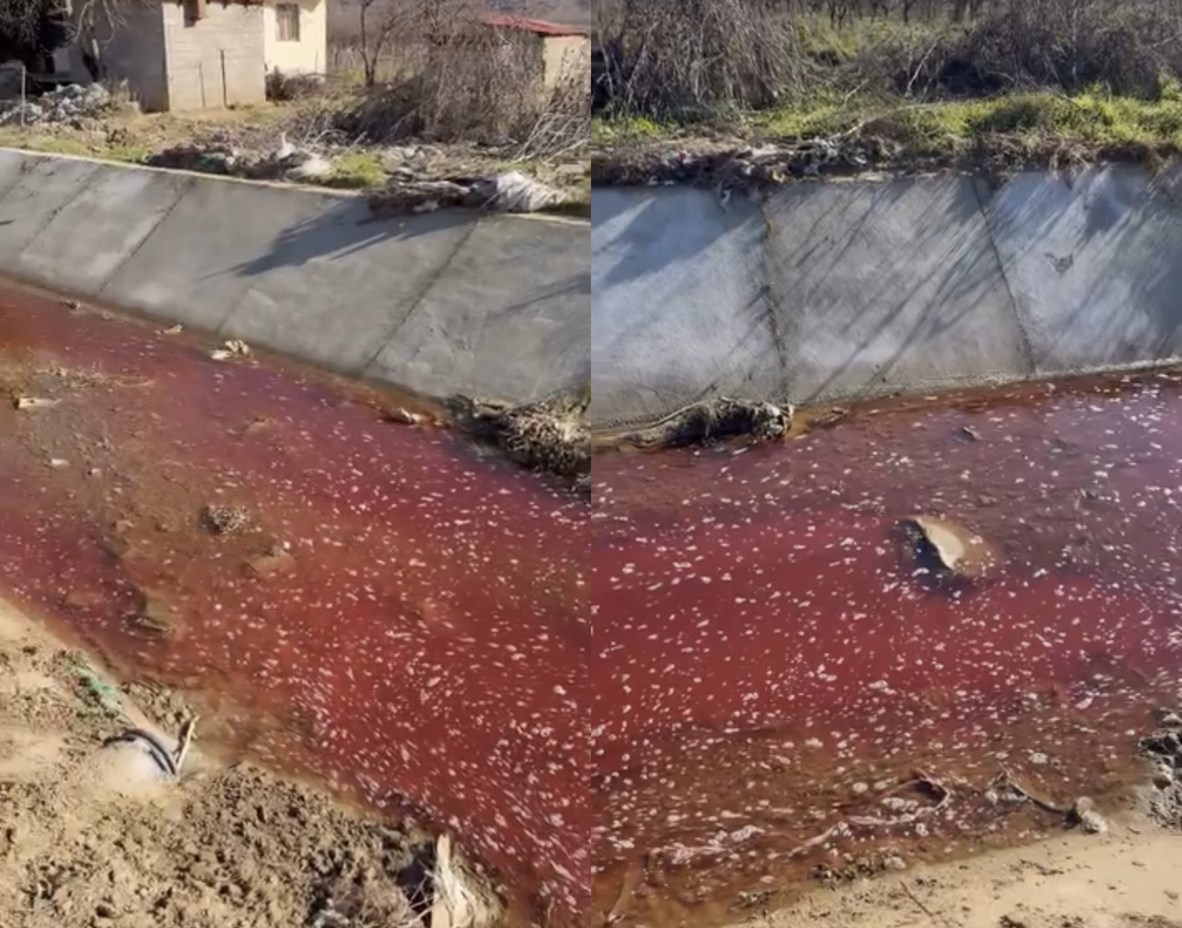 Lumi që derdhet direkt e në liqenin e Pogradecit bëhet i kuq