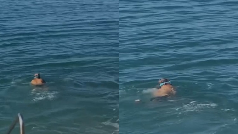 Gjyshi vlonjat sfidon dimrin dhe noton në detin pranë Lungomares