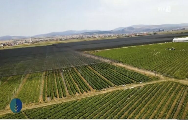 Ndryshimet klimatike, presion mbi bujqësinë dhe blegtorinë