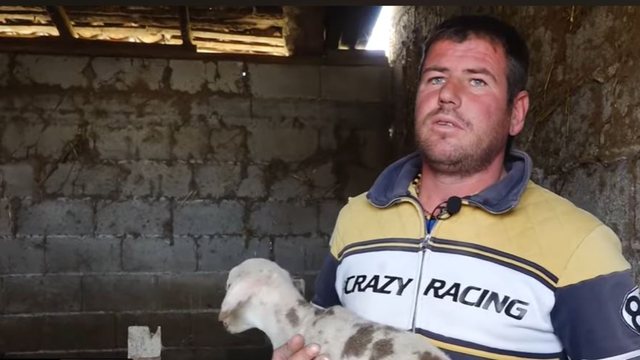  Na mori lumi gjithçka   Përmbytjet lënë pa bukë dhe shpresë blegtorin në Berat