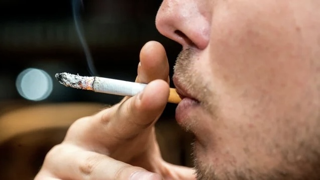 Duhani bëhet gjithnjë e më i shtrenjtë  Importet rriten në vlerë  jo në peshë