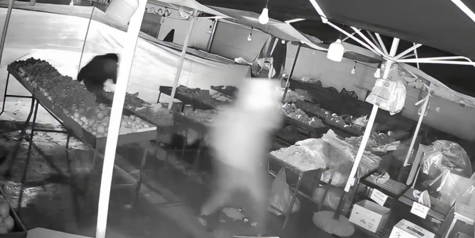 Me vrap dhe të maskuar adoleshentët vjedhin fruta perime