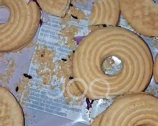  S po marrim vesh ç po hamë  Bleva një pako biskota  gjeta brenda jashtëqitje minjsh 