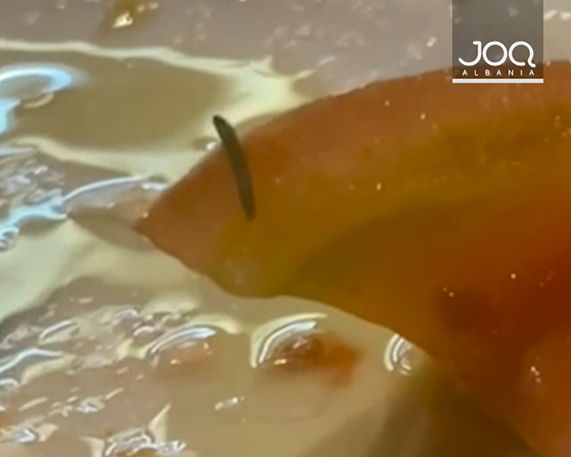  Gjeta larvën në sallatë  stafi u justifikua se është diçka normale 