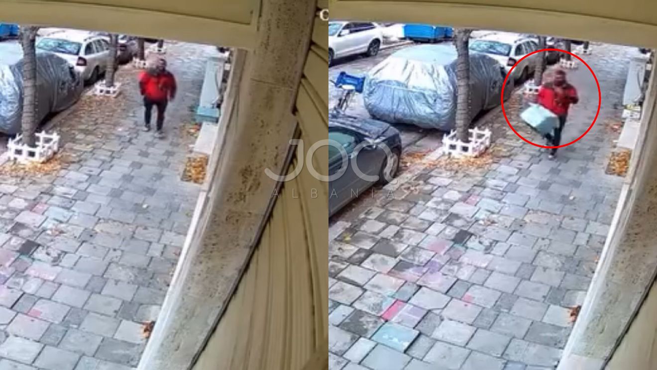 Hajduti vjedh mini strehëzën e blerë nga qytetari për kafshët endacake