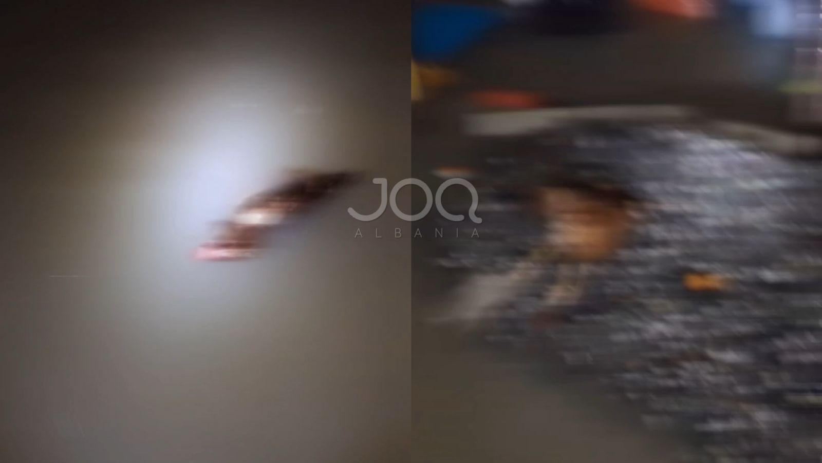 Përmbytjet mbytin gjënë e gjallë në Durrës, pulat e ngordhura notojnë në ujë