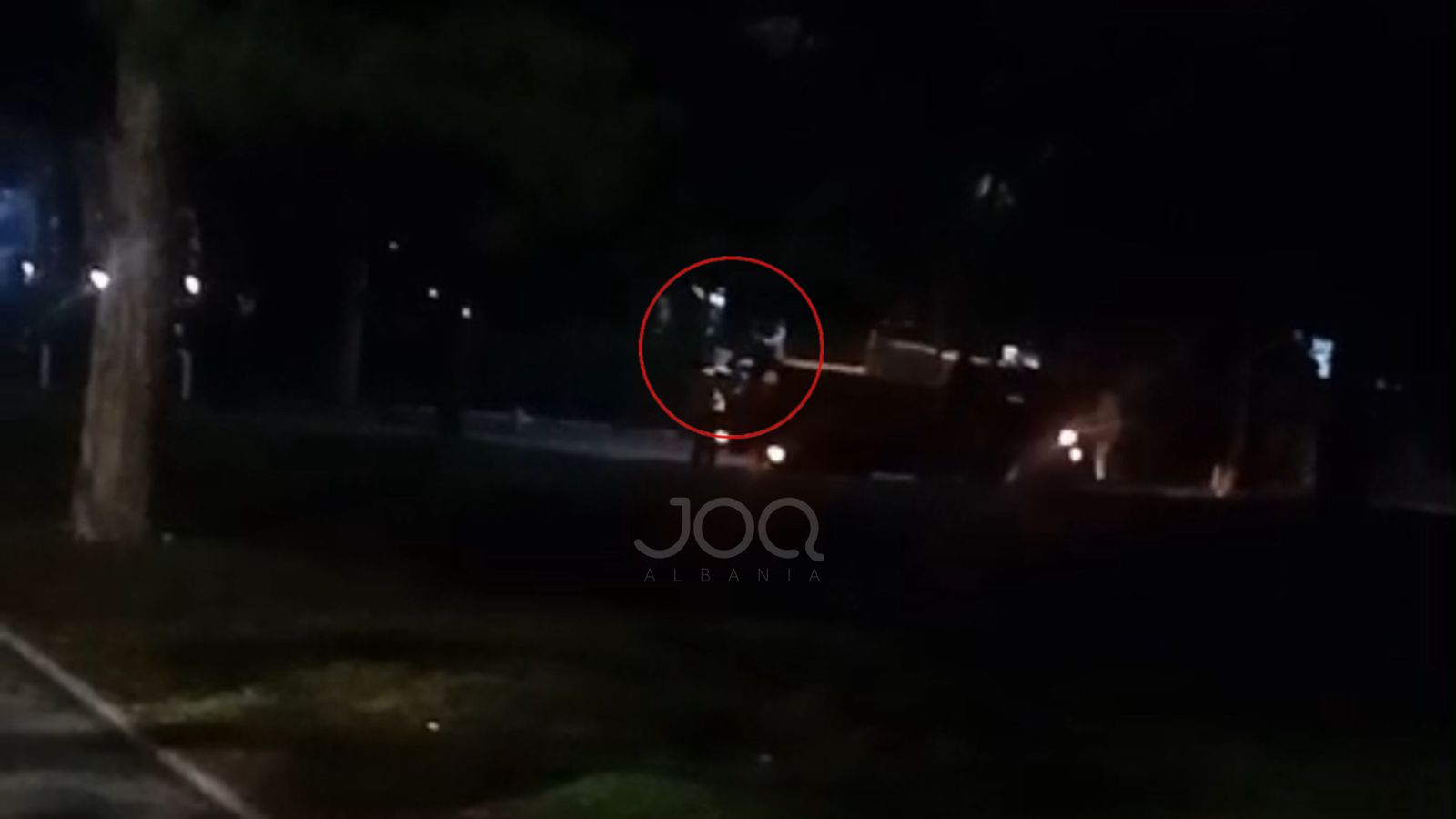  Bashkia e Korçës po helmon masivisht qentë e rrugës  e kishin mbushur makinën plot 