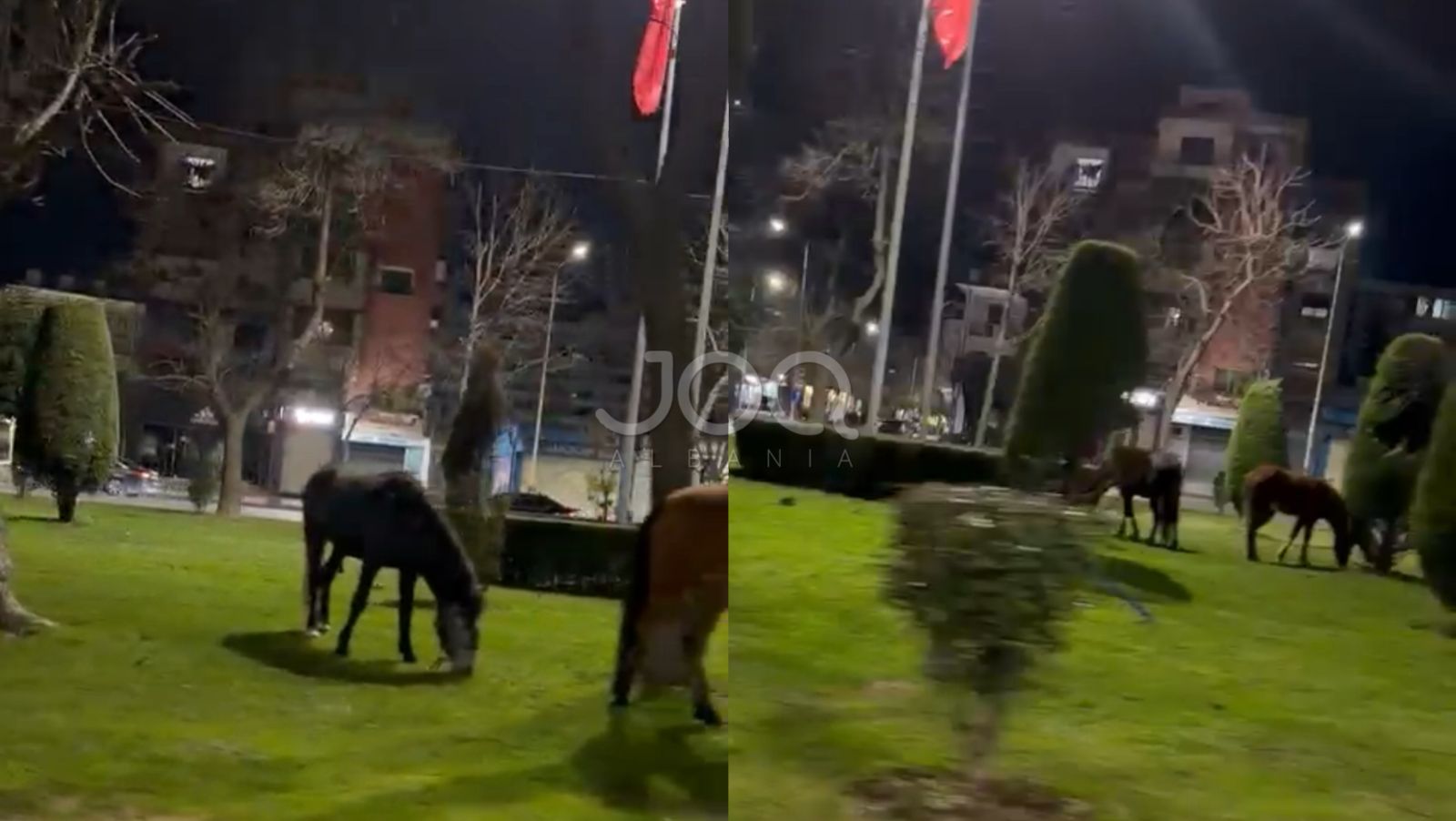 Kuajt pushtojnë rrugët e Shkodrës  Sa aksidente duhet të ndodhin që institucionet të reagojnë 