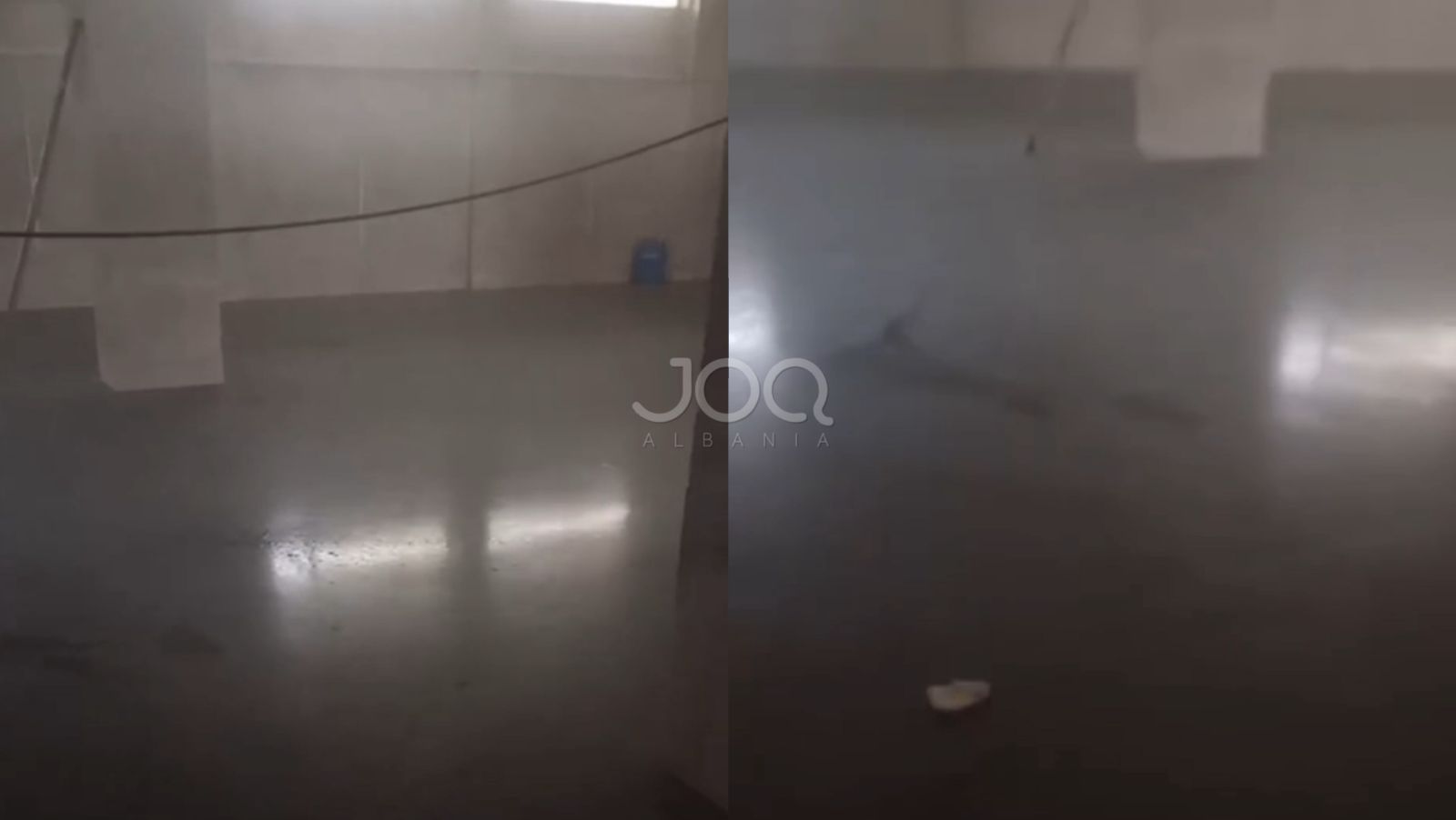 Pallati po përmbytet prej 5 vitesh  Bashkia e Lushnjës nuk ndërhyn 