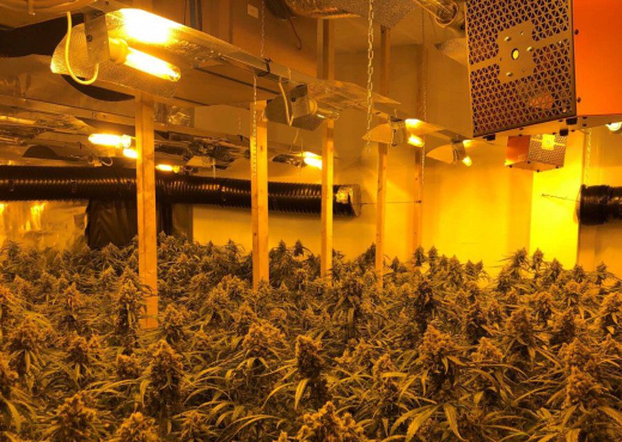  Zbulohet  shtëpia e dytë e barit  në Sarandë  apartamenti ishte përshtatur për kultivim kanabisi 