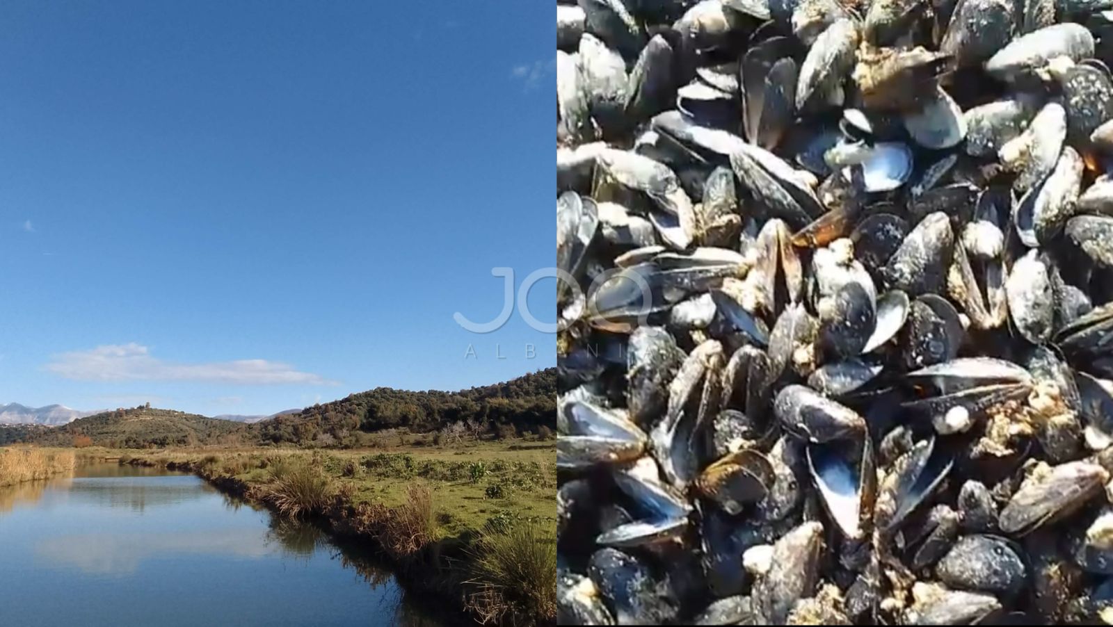“Midhja e Butrintit drejt zhdukjes nga ndotja e ujërave”