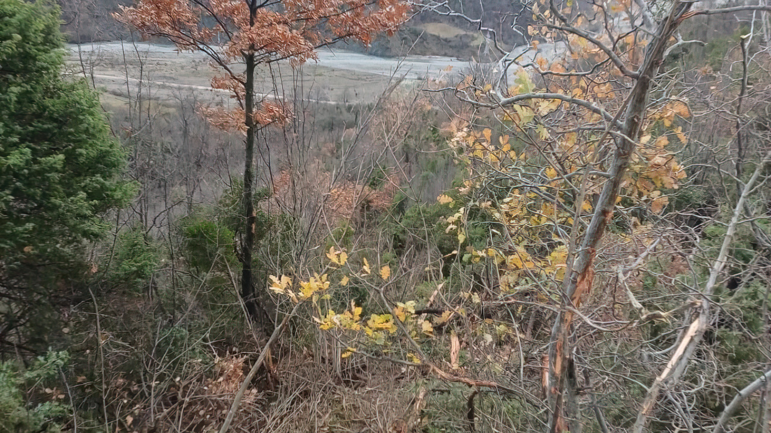 Detaje nga aksidenti në Gramsh  humb jetën infermierja  në gjendje të rëndë mësuesja dhe shoferi