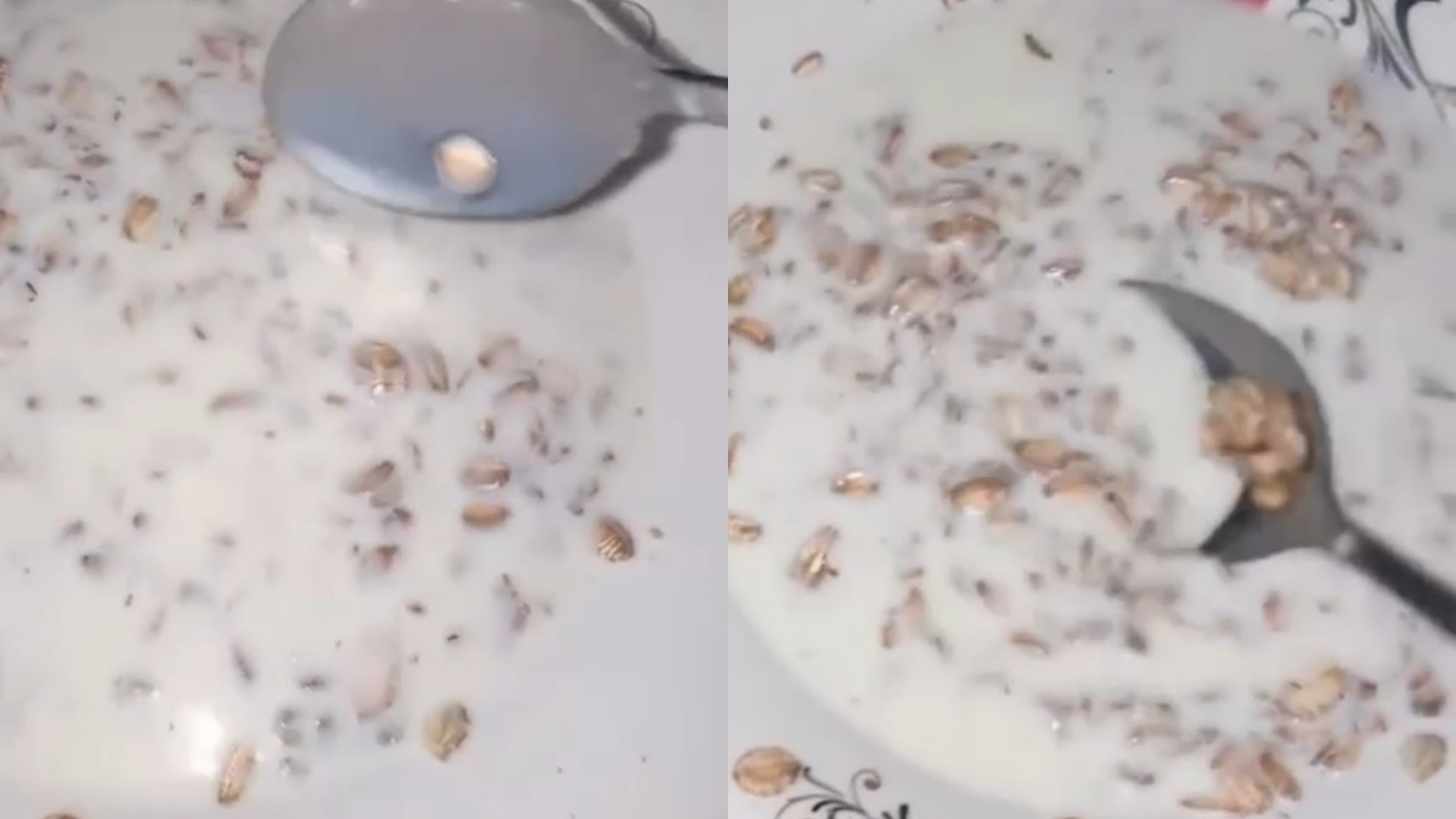 Tërshëra ‘Teuta’ plot miza, qytetari: I them çunit të xhajës që merret me palestër mos ha më