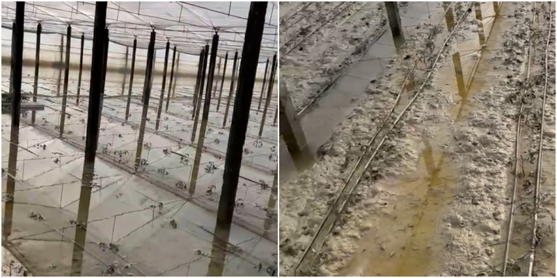  Na iku malli nga duart   Përmbytjet godasin sërish vendin  fermerët pa zgjidhje dhe pa ndihmë