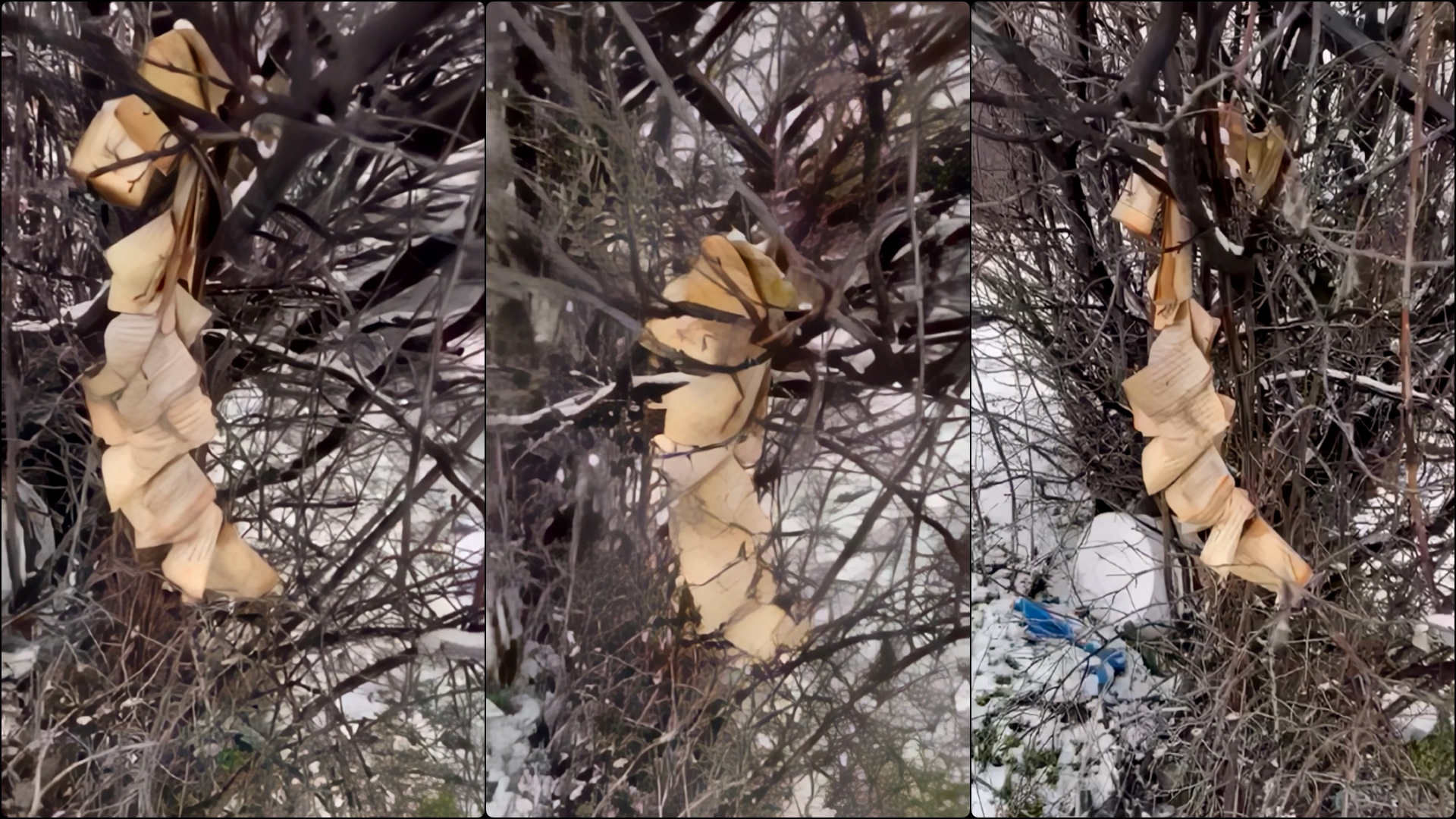 Djegia e Kuranit në Gjakovë  akt i rëndë që cenon ndjenjat fetare dhe bashkëjetesën