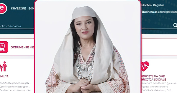 Kaos digjital  e Albania bllokon bizneset   SelfCare  jashtë funksioni prej javësh