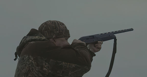 Fund moratoriumit, kalon ligji: Me koncesion edhe gjuetia në Shqipëri