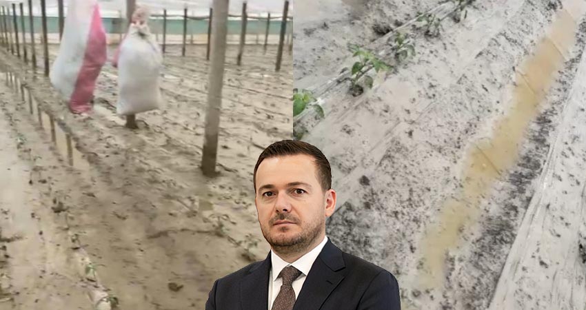 Përmbytja i shkatërroi 2 mln lekë fidanë  fermeri në Dimal kërkon dëmshpërblim