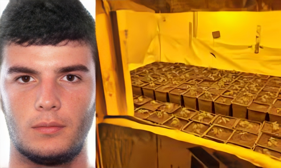 Me fermë kanabisi  dënohet me burg ish futbollisti shqiptar në Britani