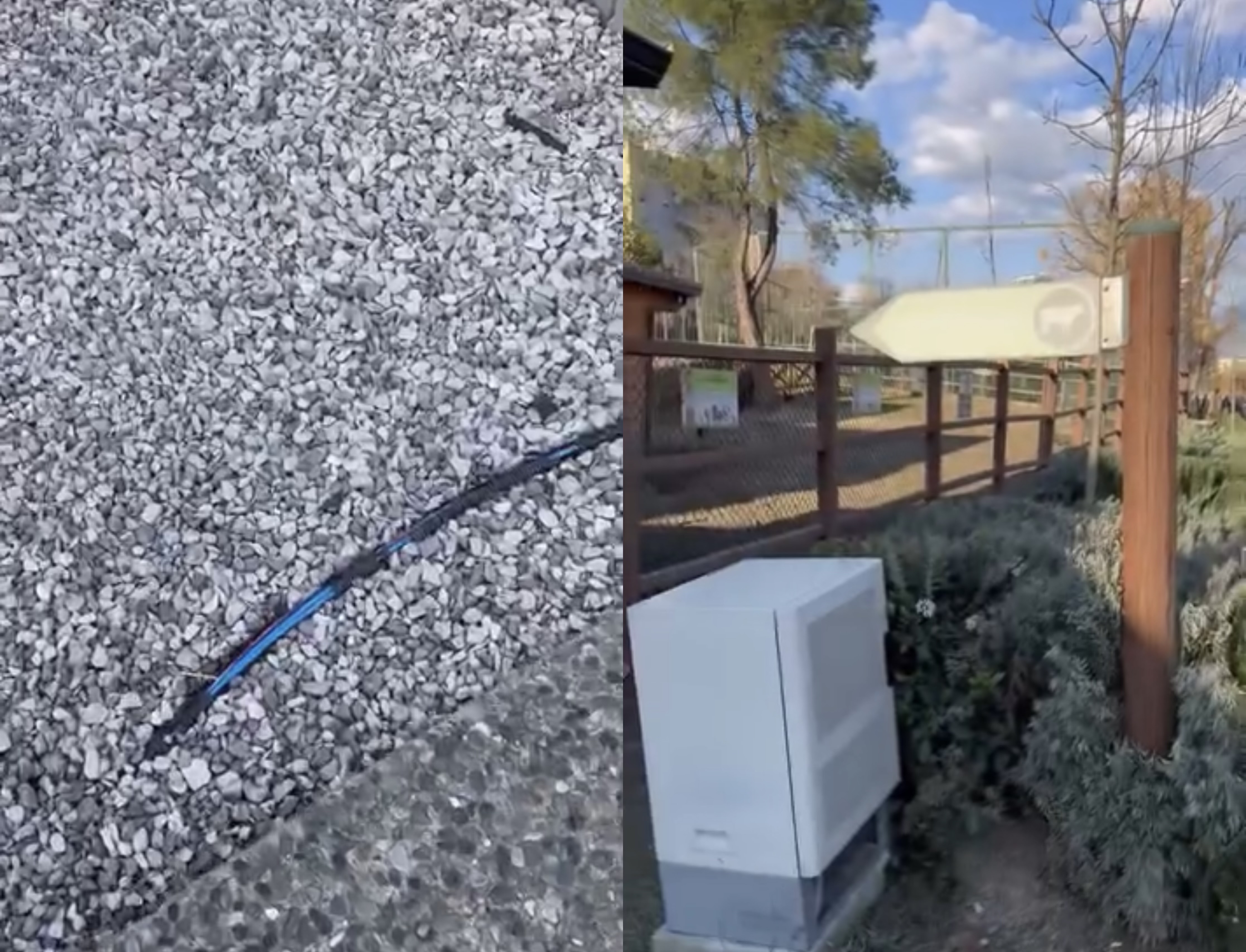 Vizitorët në rrezik  Telat e korentit dalin në sipërfaqe te Kopshti Zoologjik