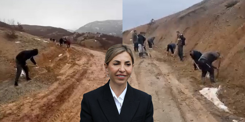 Festimja në gjumë  shupenzakët me lopata rregullojnë vetë rrugën