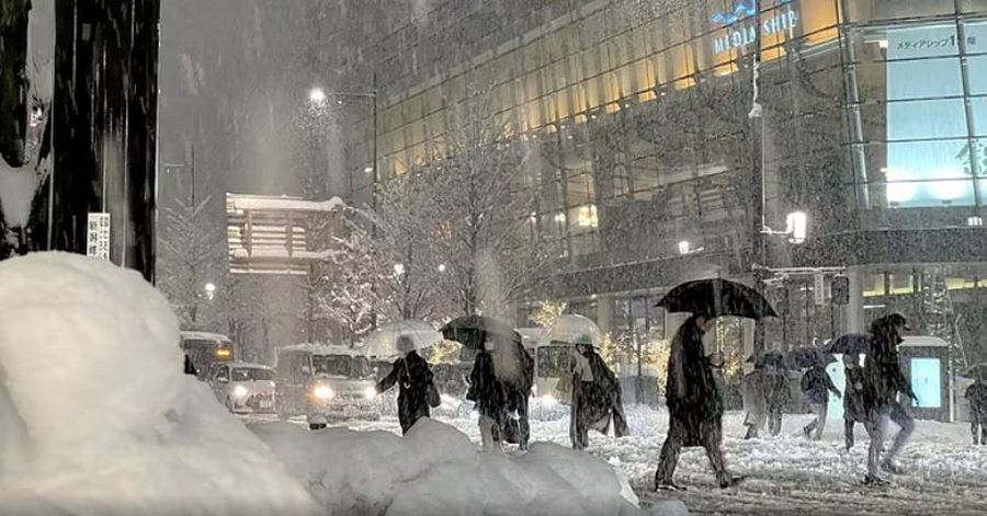Bora arrin në 4 5 metra në Japoni  shkon në 46 numri i viktimave
