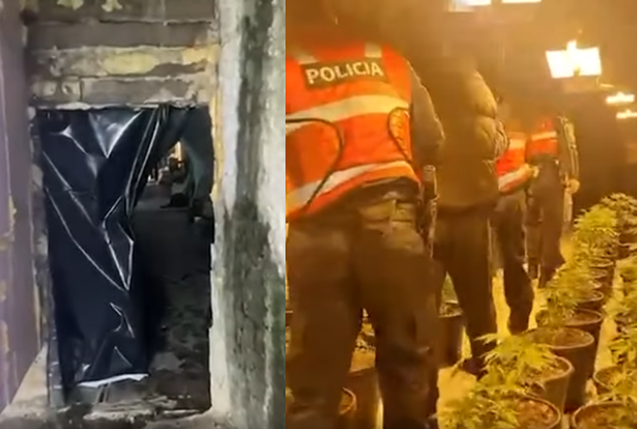 Tunel droge në Shkodër  3 në pranga dhe 3 në hetim