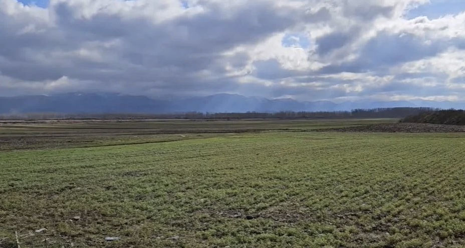 Përmbytjet e janarit fundosën fermerët shqiptarë: Eksportet e zarzavatet ranë me 46%