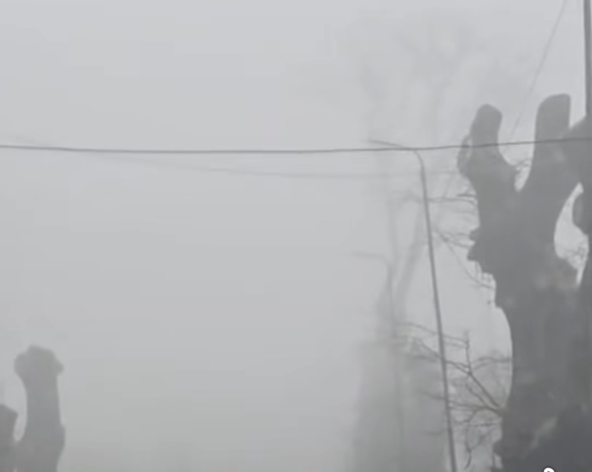 Mjegulla e dendur pushton vendin  vështirësi qarkullimi në disa qytete