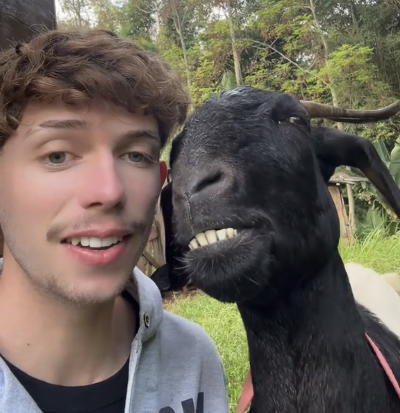 Djaloshi i këndon çjapit  ai emocionohet