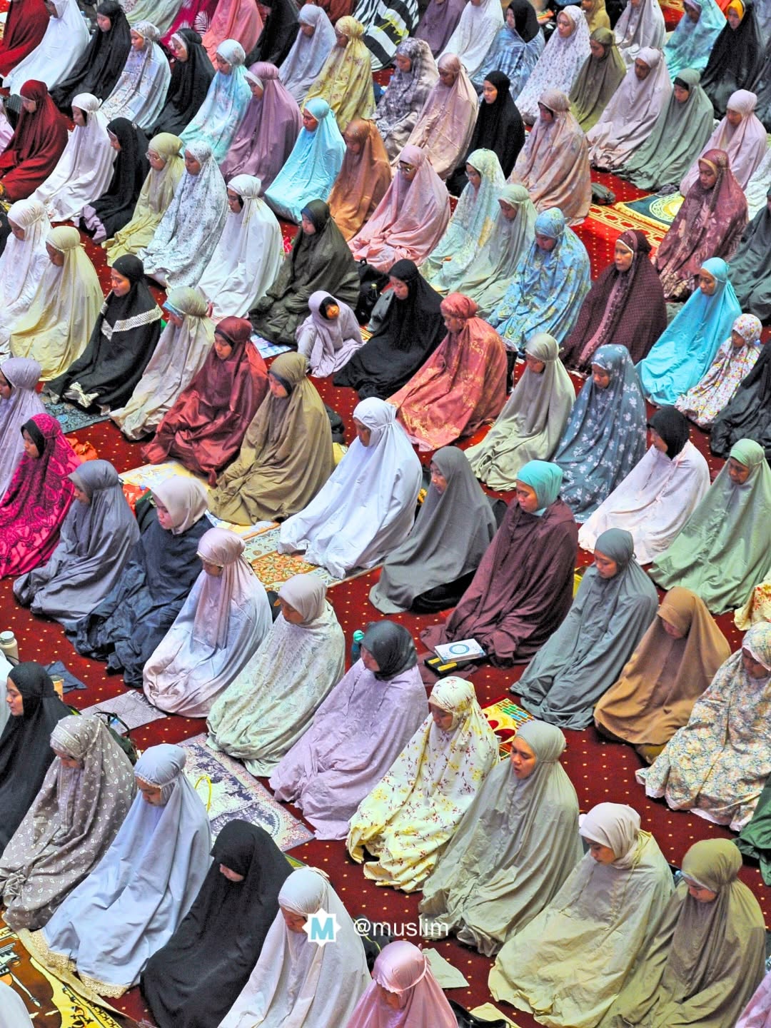 Foto të mrekullueshme nga falja e besimtareve për Ramazan