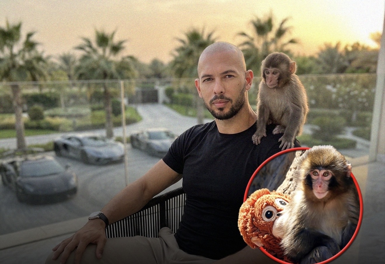 Andrew Tate ofron 250 000$ të blejë majmumin  Punch  të cilin e braktisi e ëma