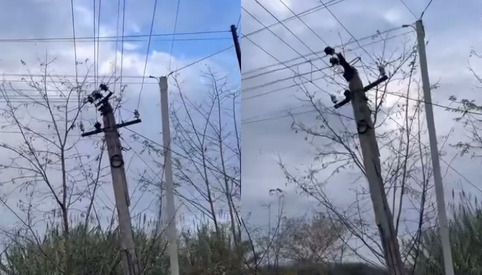 Shtylla e amortizuar rrezikon jetën e fëmijëve në Laknas  Asnjë masë nga OSHEE