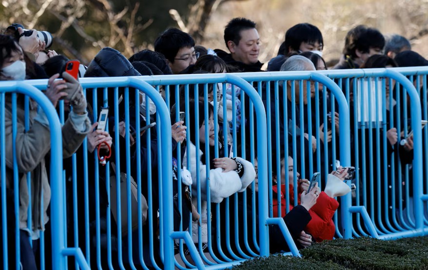 preku-boten-pasi-u-braktis-nga-nena-punch-behet-vip